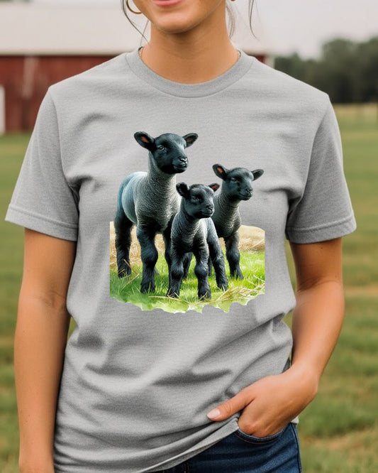 Three Lambs Shirt – Cute Farm Animal Graphic Tee for Women & Kids – Pastel Spring Lamb T‑Shirt, Country Cottage core Top, Farm Life Aesthetic